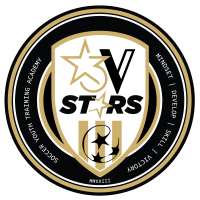 3vstars-Logo-1000