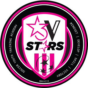 3vstars-Logo-Pink-300